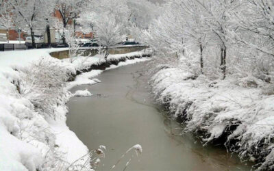 Conducir con nieve